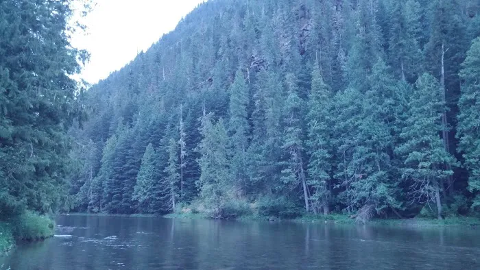 Packsaddle Campground 3