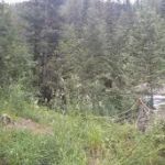 Squaw Creek Campground