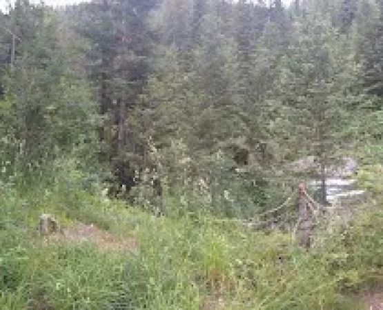 Squaw Creek Campground