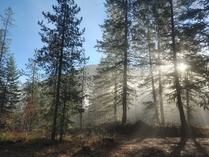 Jackpine Flats Campground 5