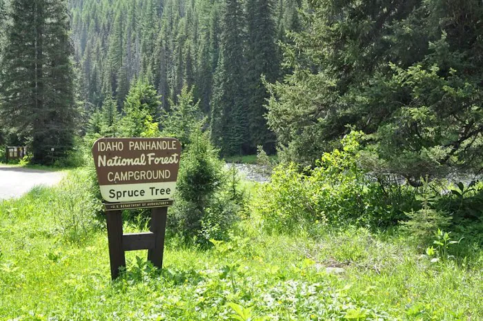 Spruce Tree Campground 7