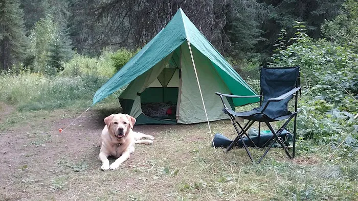 Spruce Tree Campground 6