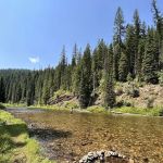 Spruce Tree Campground