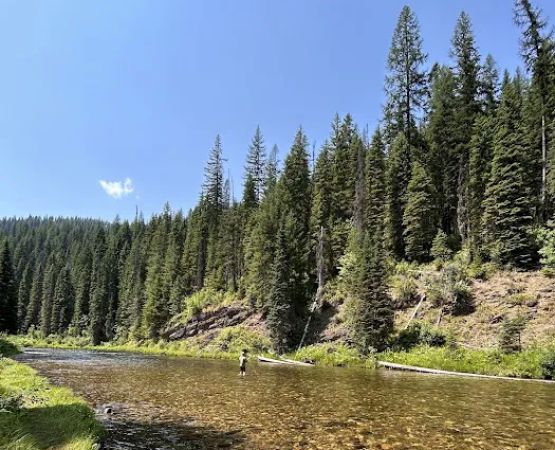 Spruce Tree Campground