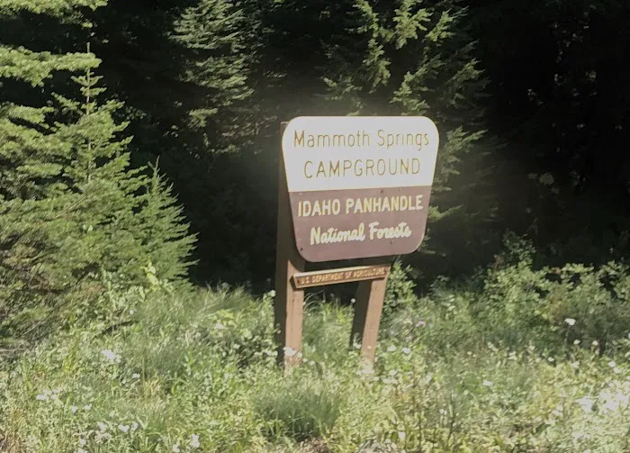 Mammoth Springs Campground 4