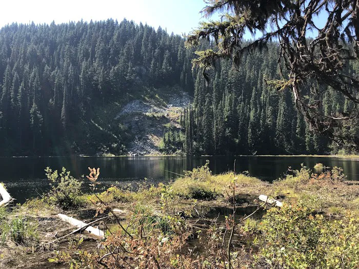 Mammoth Springs Campground 1
