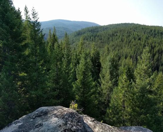 Lee Creek Campground