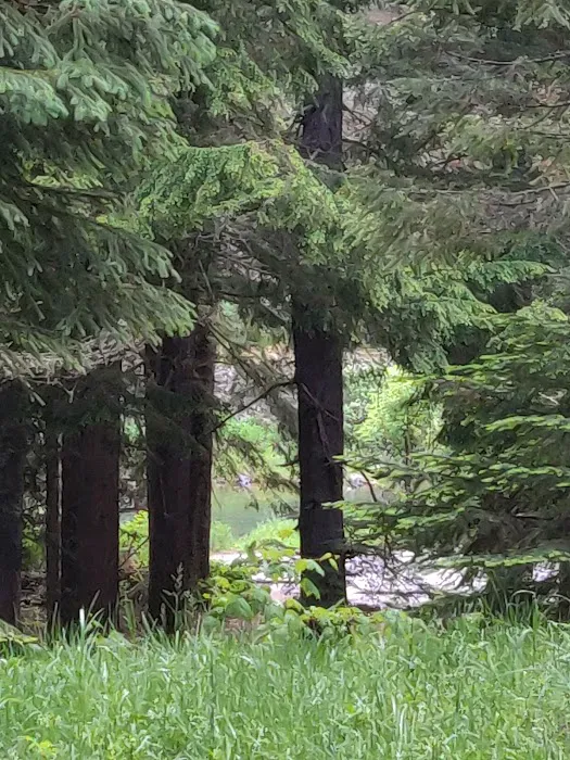 Avery Creek Cabin 9