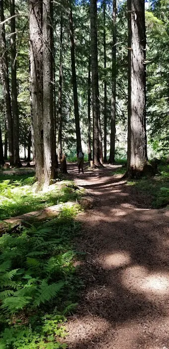 Sissons Campground 9