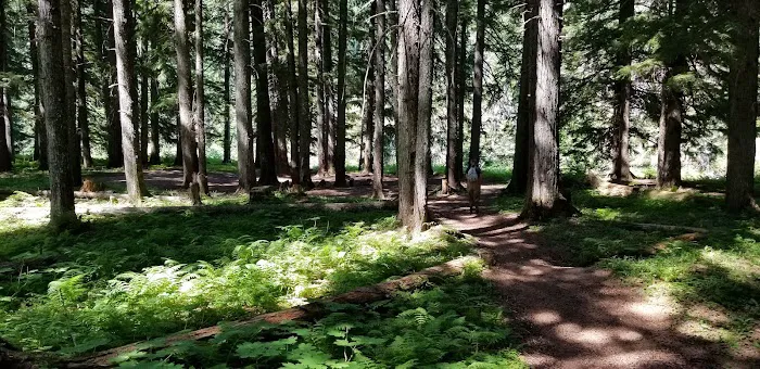 Sissons Campground 1