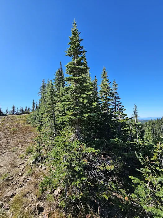 Lunch Peak Lookout 9