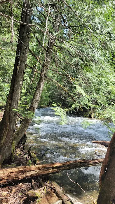 Huckleberry Campground 6