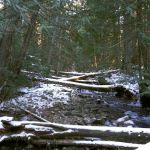 Huckleberry Campground