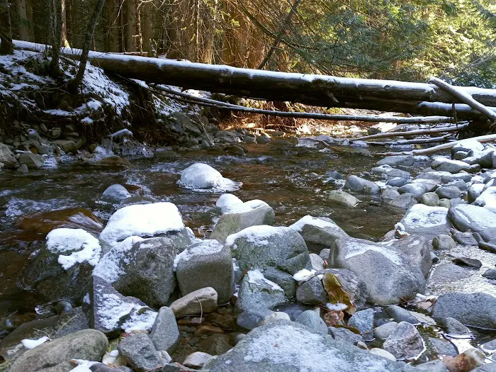 Huckleberry Campground 9
