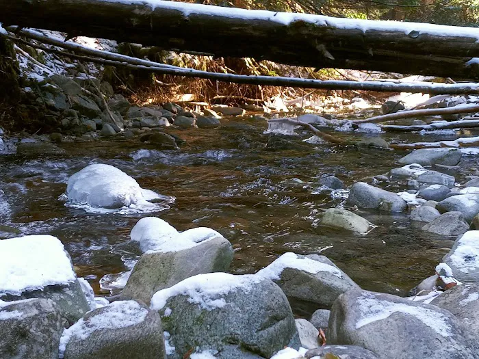 Huckleberry Campground 2
