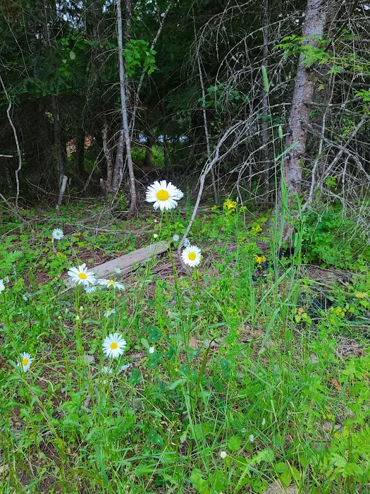 Camp Stidwell, Kiwanis 9
