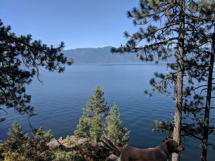 Whiskey Rock Bay Campground 4
