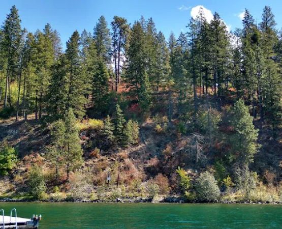 Whiskey Rock Bay Campground