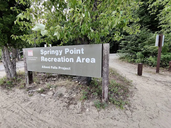 Springy Point Campground 7