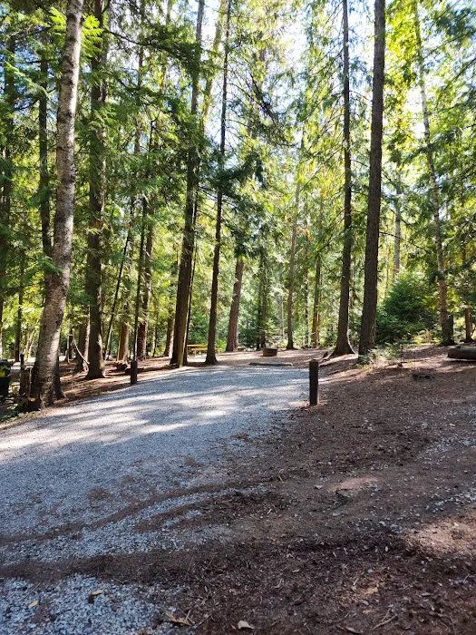 Springy Point Campground 8