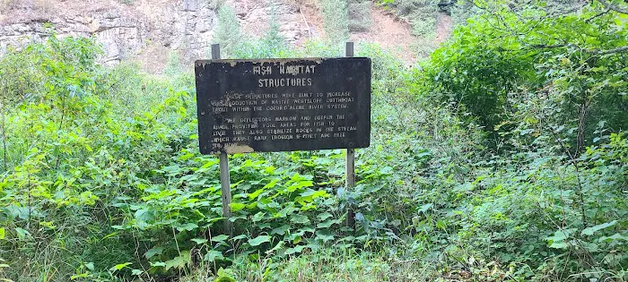 Honeysuckle Campground 2
