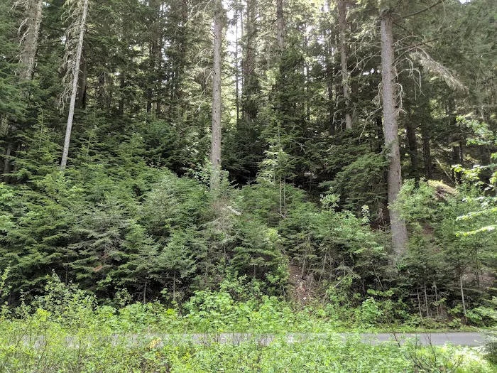 Honeysuckle Campground 9