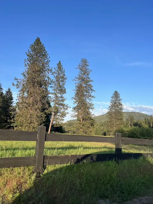 Honeysuckle Campground 7
