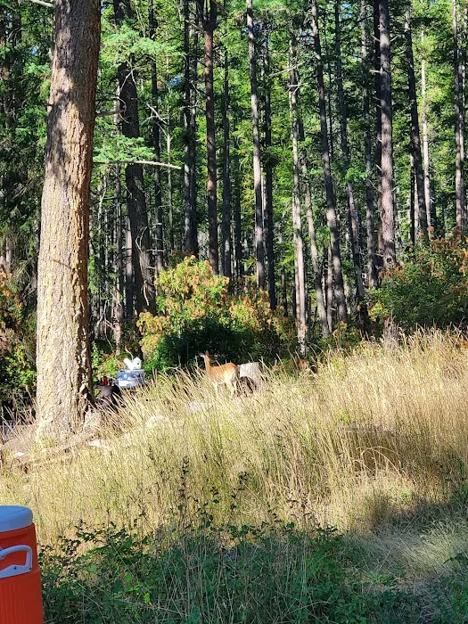 Whitetail Campground 3