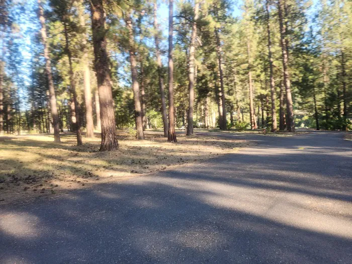 Whitetail Campground 2