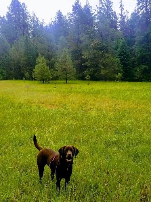 Whitetail Campground 7