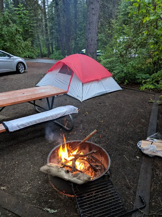 Snowberry Campground 7