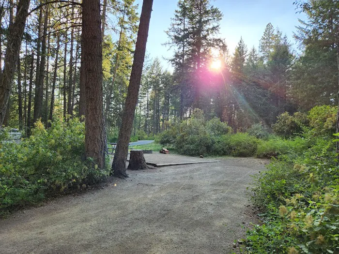 Snowberry Campground 8