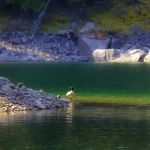 Buttonhook Group Campground