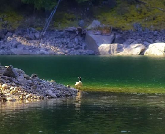 Buttonhook Group Campground