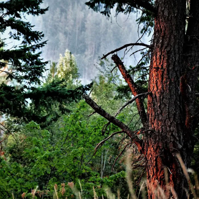 Buttonhook Group Campground 8