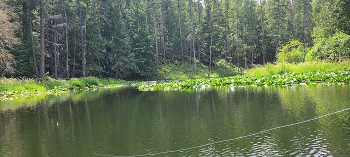 Round Lake Campground 3