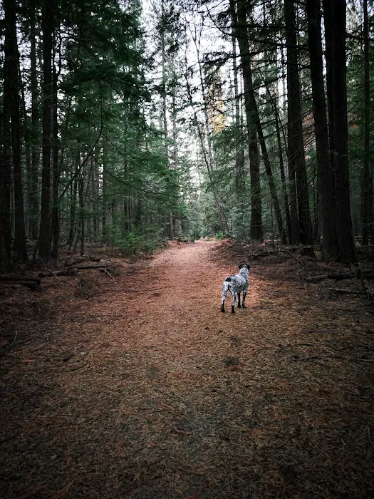 Round Lake Campground 5
