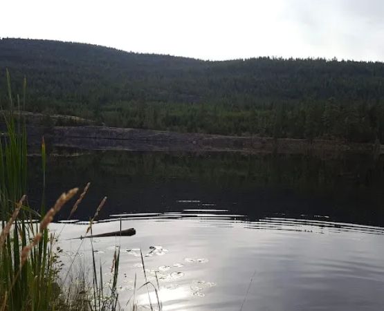 Little Mc Gregor Campground