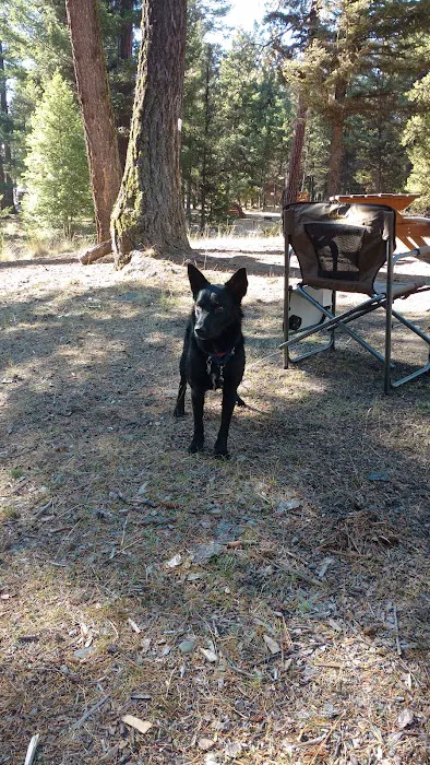 Bitterroot Lions Campground 5