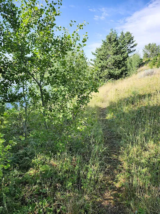 Bitterroot Lions Campground 7