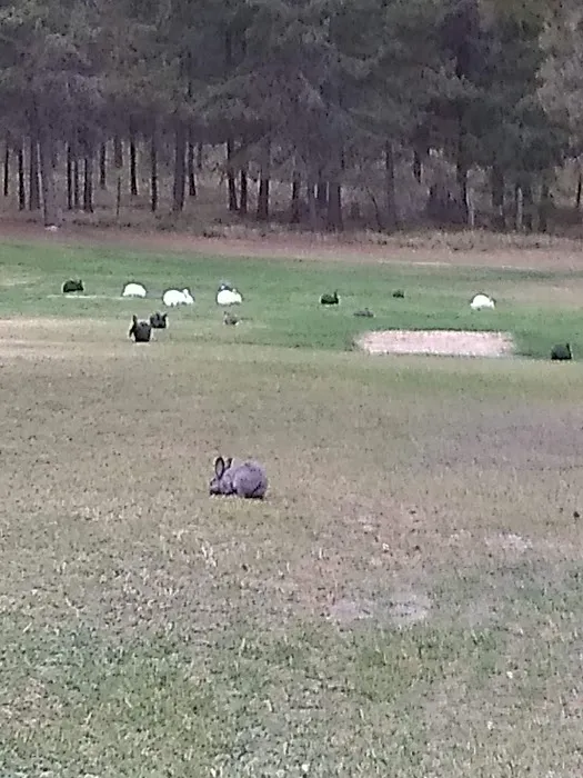 Moose Crossing Inc 3