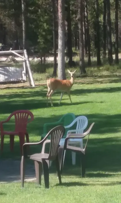 Moose Crossing Inc 8