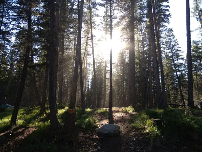 Ashley Lake North Campground 2