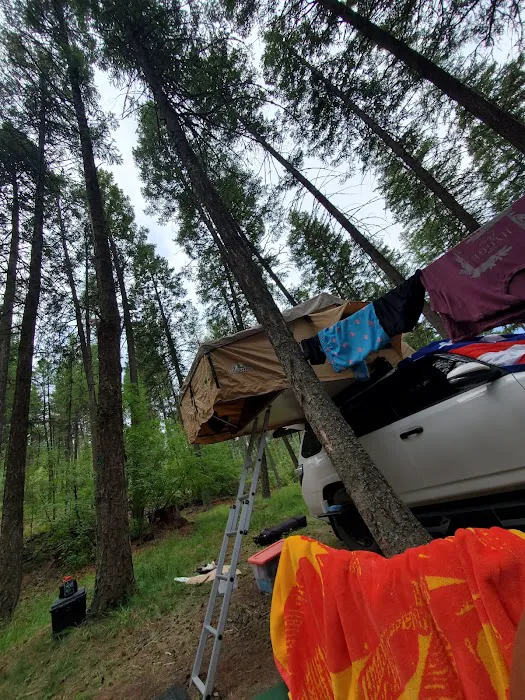 Ashley Lake South Campground 8