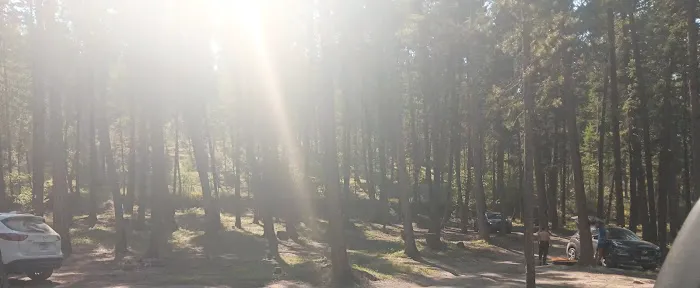 Ashley Lake South Campground 4