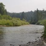 River Junction Campground