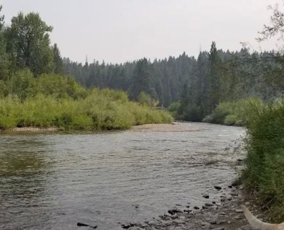 River Junction Campground