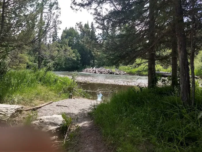 Harry Morgan Campground 1