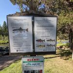 Harry Morgan Campground