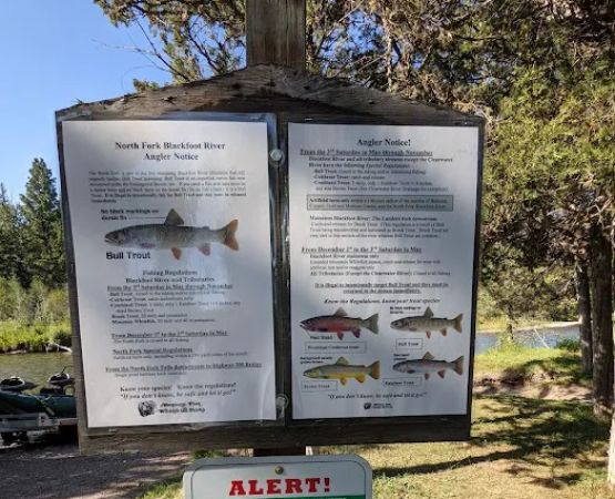 Harry Morgan Campground